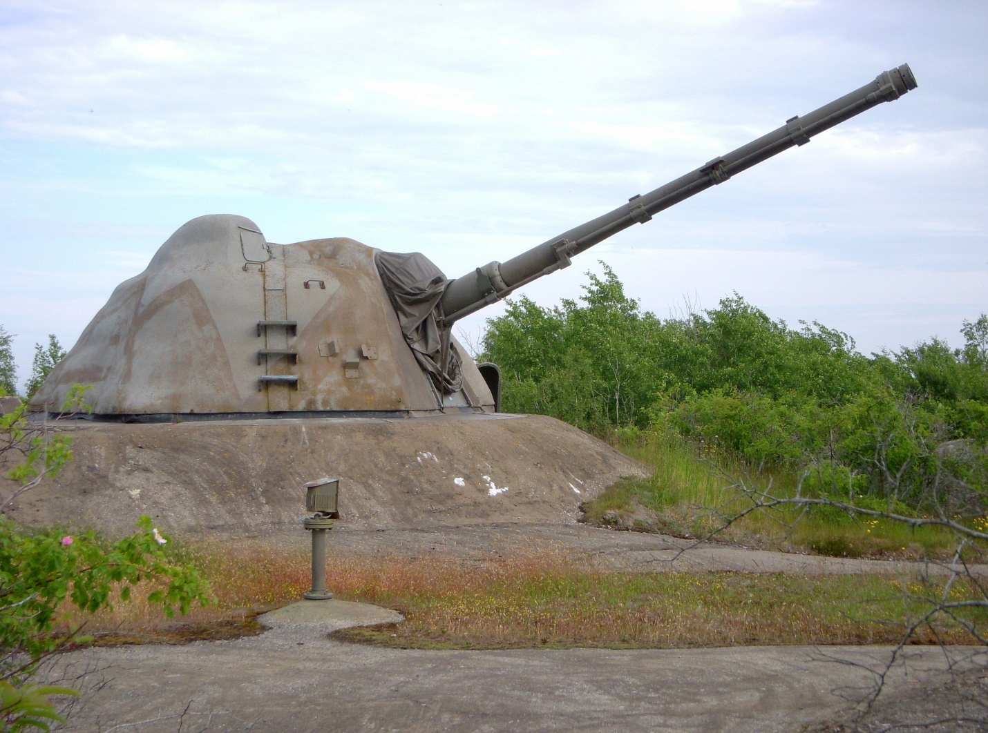 A picture containing grass, outdoor, sky, military vehicle Description automatically generated
